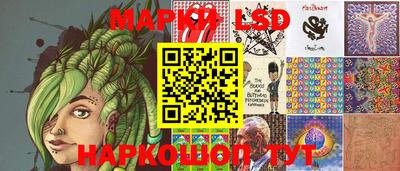 гидропоника Пенза
