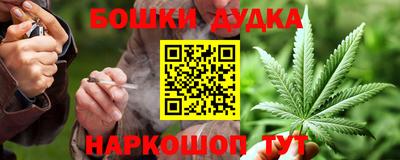 гидропоника Пенза
