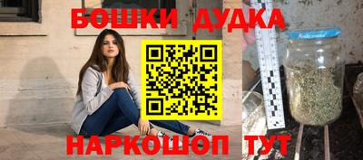 гидропоника Пенза