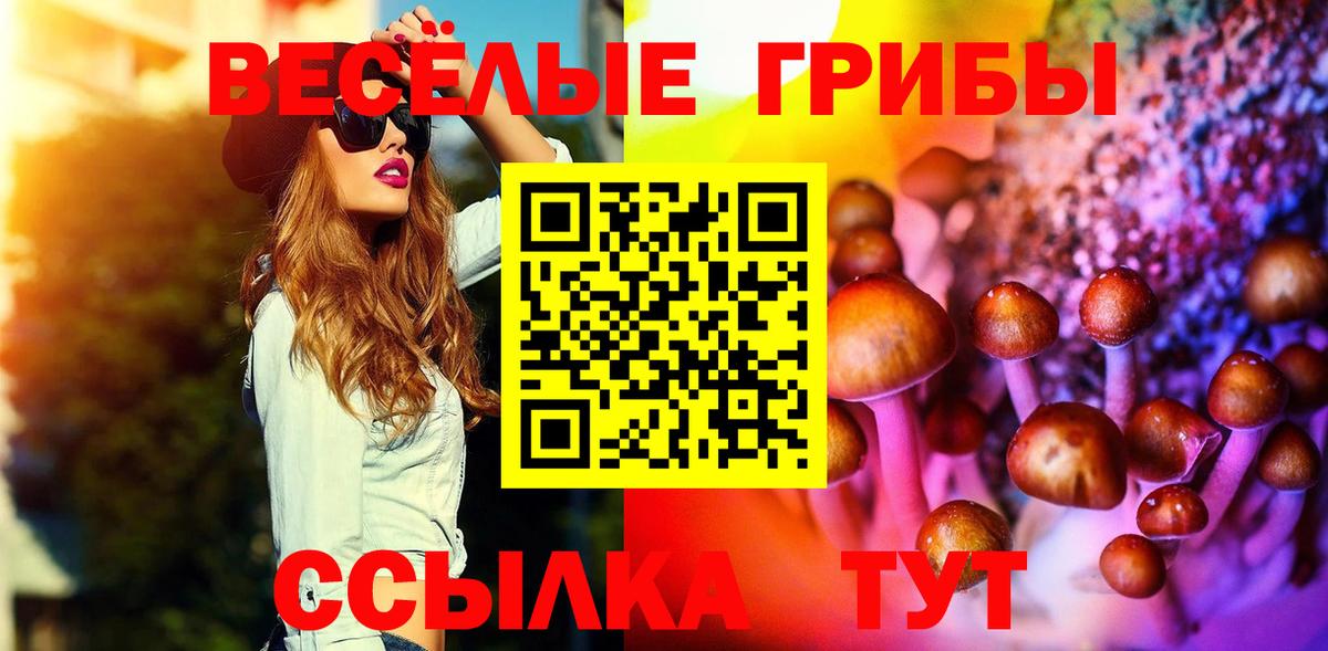Псилоцибиновые грибы GOLDEN TEACHER  Вход с VPN  Сорочинск 